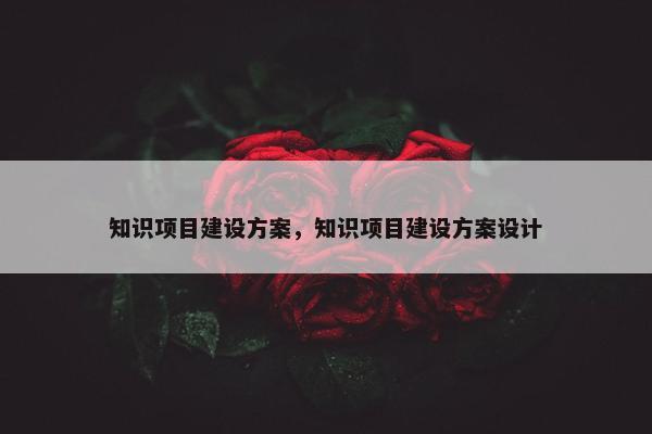 知识项目建设方案，知识项目建设方案设计