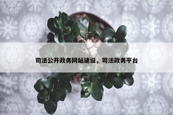 司法公开政务网站建设，司法政务平台
