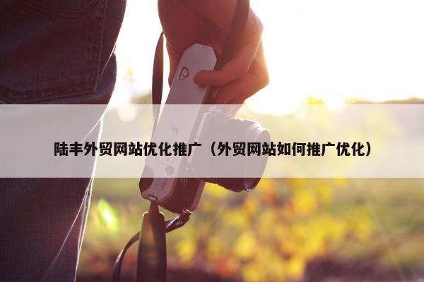 陆丰外贸网站优化推广（外贸网站如何推广优化）