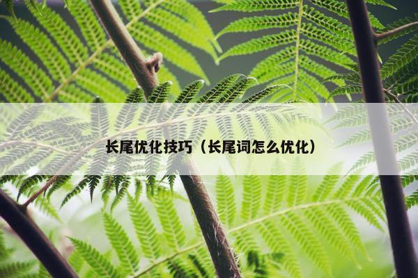 长尾优化技巧（长尾词怎么优化）