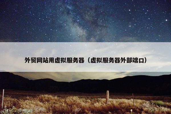 外贸网站用虚拟服务器（虚拟服务器外部端口）