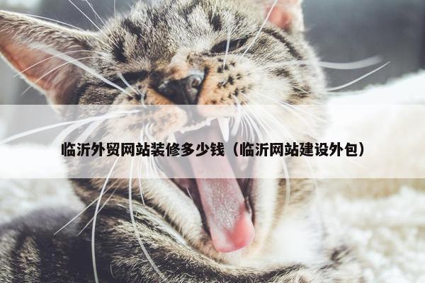 临沂外贸网站装修多少钱（临沂网站建设外包）