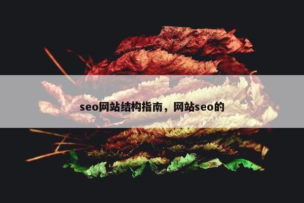 seo网站结构指南，网站seo的