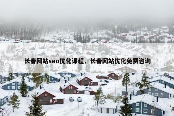长春网站seo优化课程，长春网站优化免费咨询