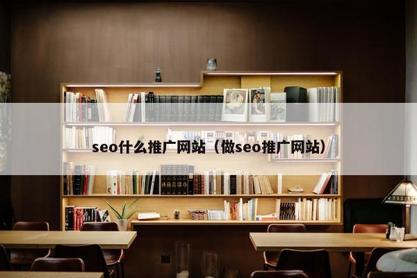 seo什么推广网站（做seo推广网站）