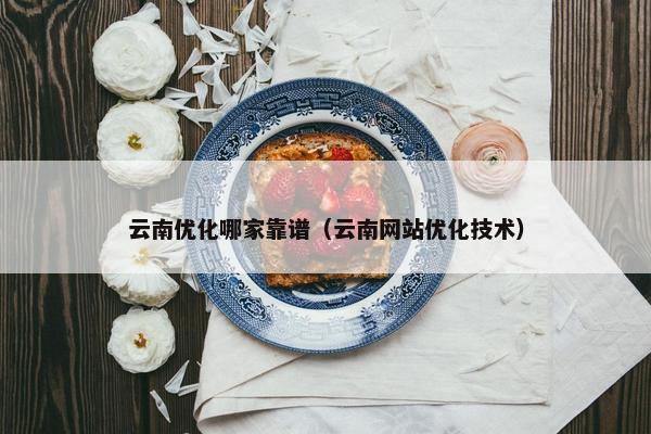 云南优化哪家靠谱（云南网站优化技术）