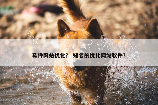 软件网站优化？ 知名的优化网站软件？