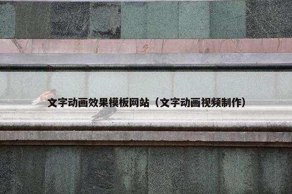 文字动画效果模板网站（文字动画视频制作）