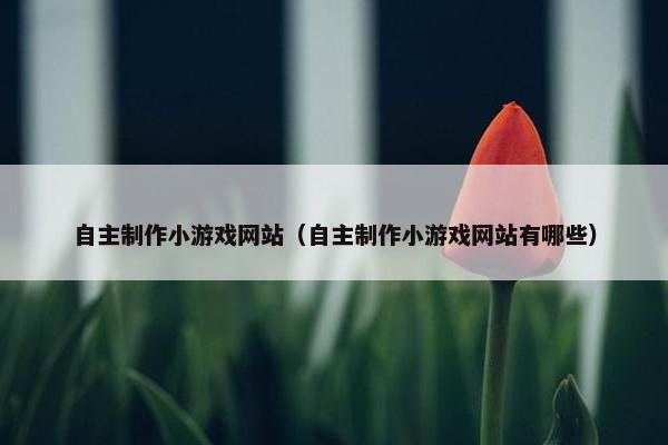 自主制作小游戏网站（自主制作小游戏网站有哪些）