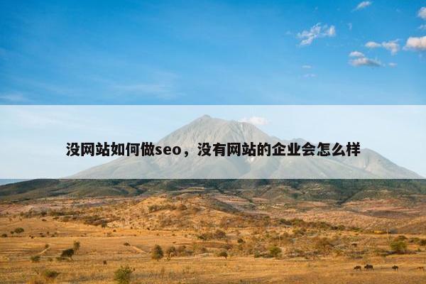 没网站如何做seo，没有网站的企业会怎么样