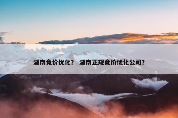 湖南竞价优化？ 湖南正规竞价优化公司？