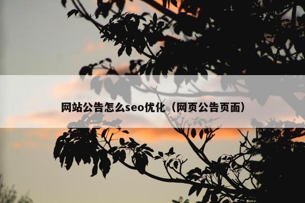 网站公告怎么seo优化（网页公告页面）