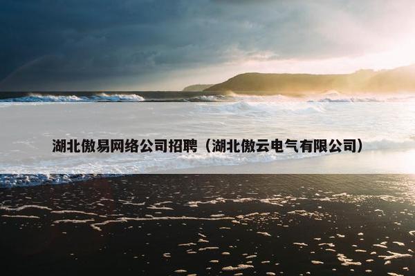 湖北傲易网络公司招聘（湖北傲云电气有限公司）