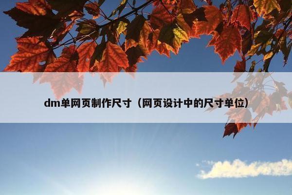 dm单网页制作尺寸（网页设计中的尺寸单位）