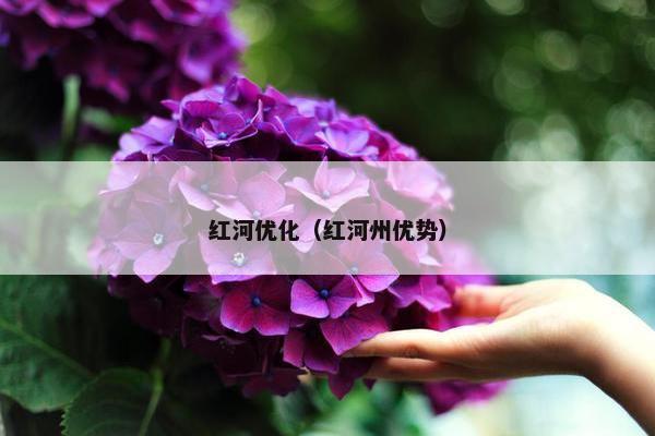 红河优化（红河州优势）