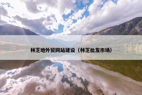 林芝地外贸网站建设（林芝批发市场）