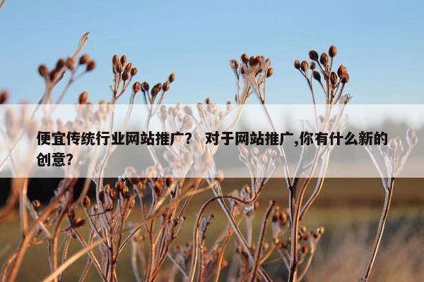 便宜传统行业网站推广？ 对于网站推广,你有什么新的创意？