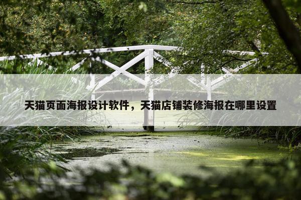 天猫页面海报设计软件，天猫店铺装修海报在哪里设置