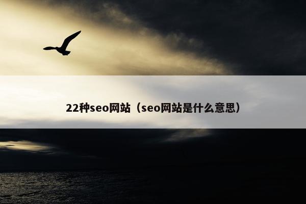 22种seo网站（seo网站是什么意思）
