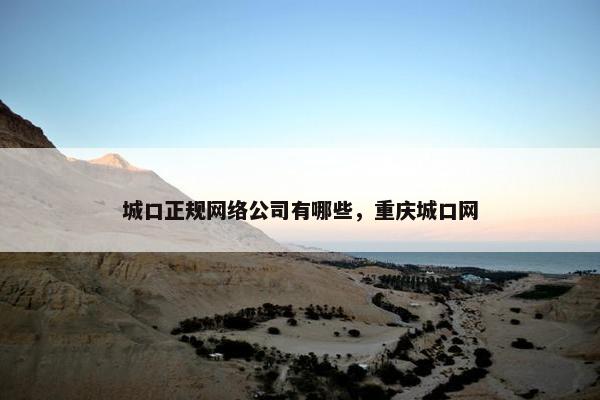 城口正规网络公司有哪些，重庆城口网