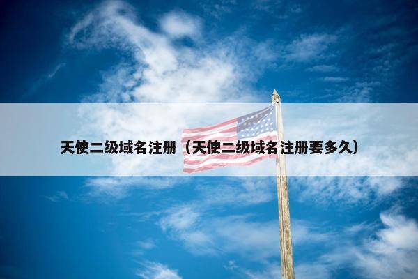 天使二级域名注册（天使二级域名注册要多久）