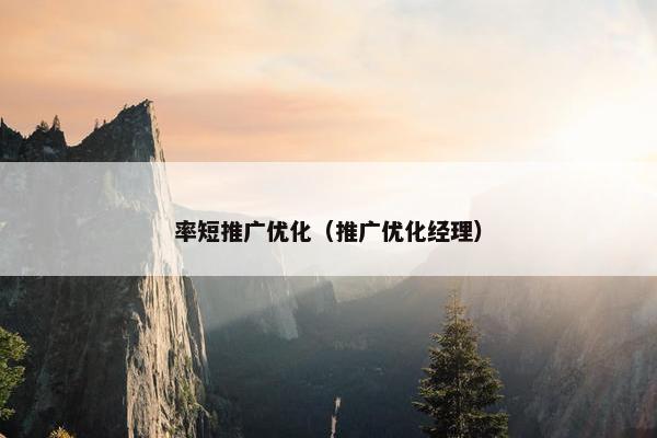 率短推广优化（推广优化经理）