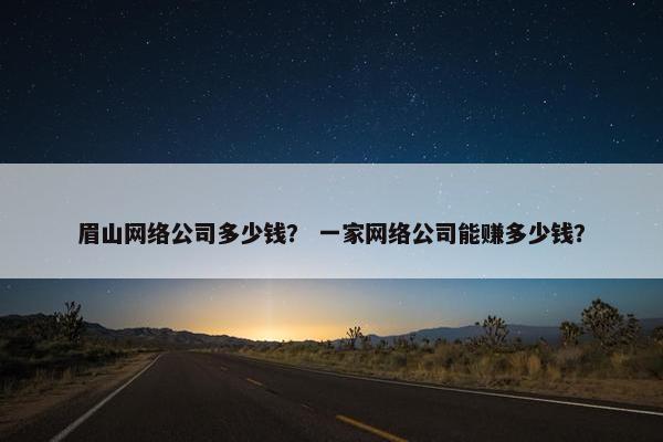 眉山网络公司多少钱？ 一家网络公司能赚多少钱？