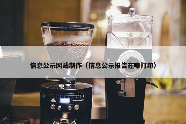 信息公示网站制作（信息公示报告在哪打印）