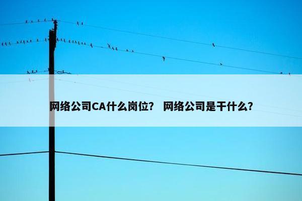 网络公司CA什么岗位？ 网络公司是干什么？
