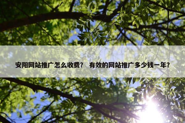 安阳网站推广怎么收费？ 有效的网站推广多少钱一年？