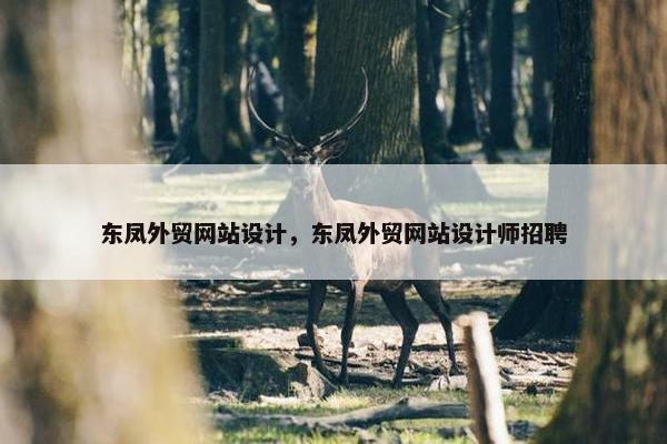 东凤外贸网站设计，东凤外贸网站设计师招聘