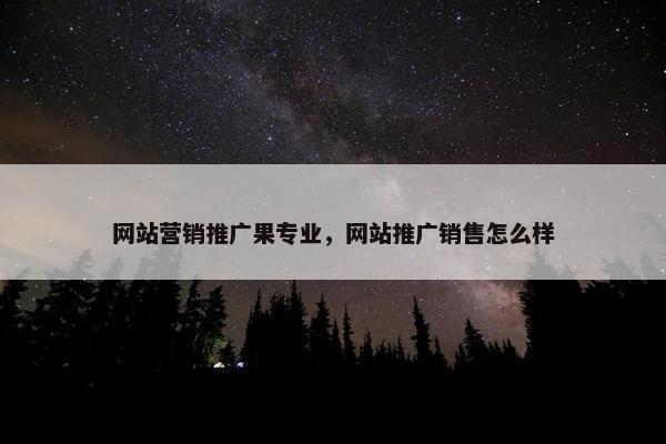 网站营销推广果专业，网站推广销售怎么样