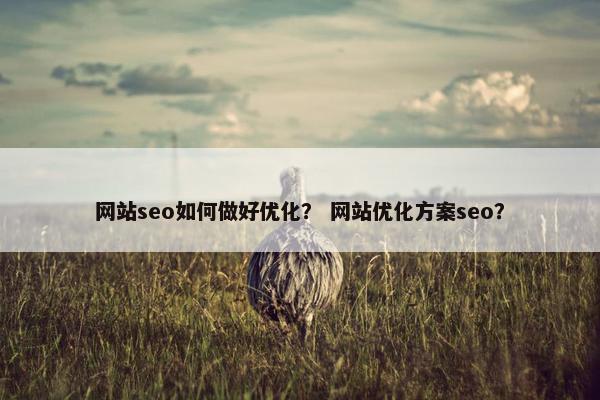 网站seo如何做好优化？ 网站优化方案seo？