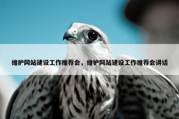 维护网站建设工作推荐会，维护网站建设工作推荐会讲话