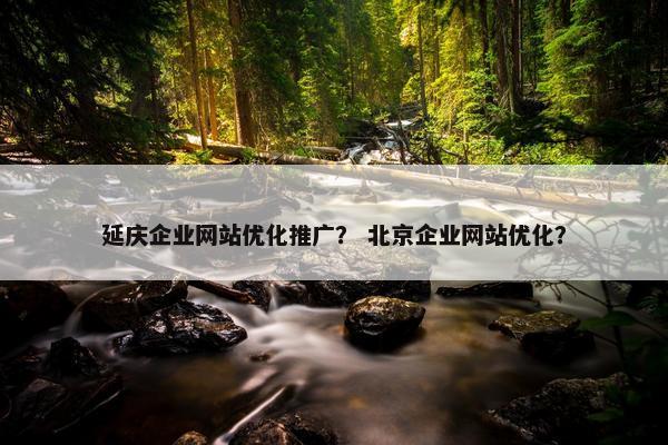 延庆企业网站优化推广？ 北京企业网站优化？