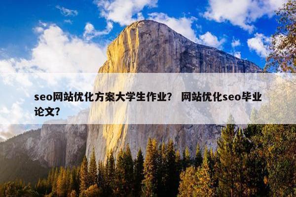 seo网站优化方案大学生作业？ 网站优化seo毕业论文？
