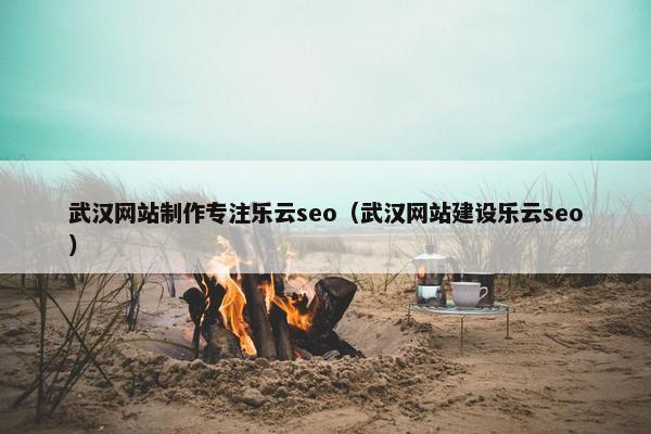 武汉网站制作专注乐云seo（武汉网站建设乐云seo）