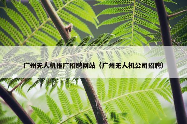 广州无人机推广招聘网站（广州无人机公司招聘）