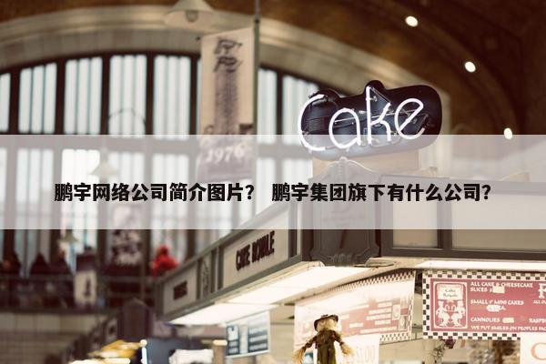鹏宇网络公司简介图片？ 鹏宇集团旗下有什么公司？