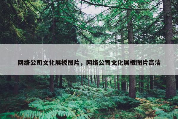 网络公司文化展板图片，网络公司文化展板图片高清