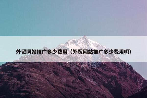 外贸网站推广多少费用（外贸网站推广多少费用啊）