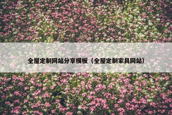 全屋定制网站分享模板（全屋定制家具网站）