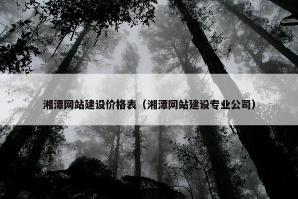 湘潭网站建设价格表（湘潭网站建设专业公司）