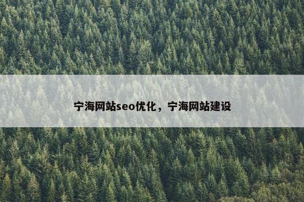 宁海网站seo优化，宁海网站建设