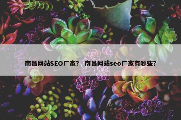 南昌网站SEO厂家？ 南昌网站seo厂家有哪些？