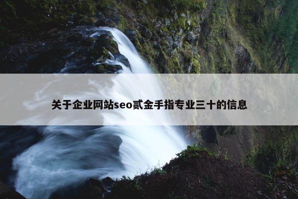 关于企业网站seo贰金手指专业三十的信息