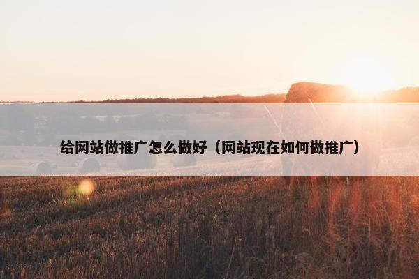 给网站做推广怎么做好（网站现在如何做推广）