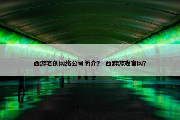 西游宅创网络公司简介？ 西游游戏官网？