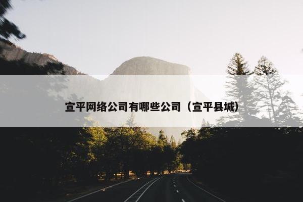宣平网络公司有哪些公司（宣平县城）