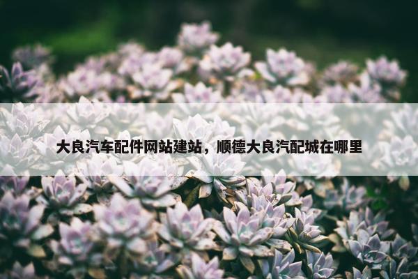 大良汽车配件网站建站，顺德大良汽配城在哪里
